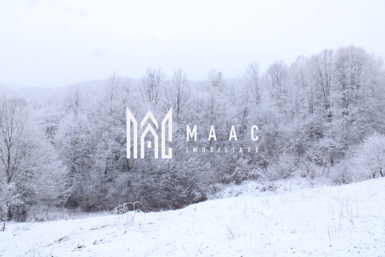 24b88462e0ea44f08ffe41bd7c67f32f