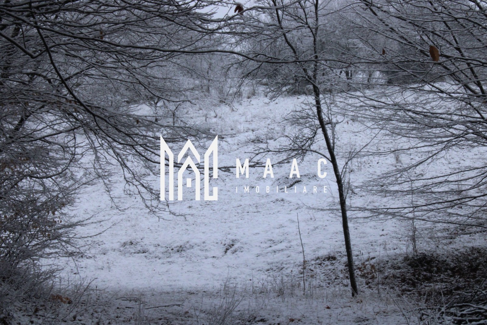 26c5210c8ab64d4dbbbd0e20ba4cc715