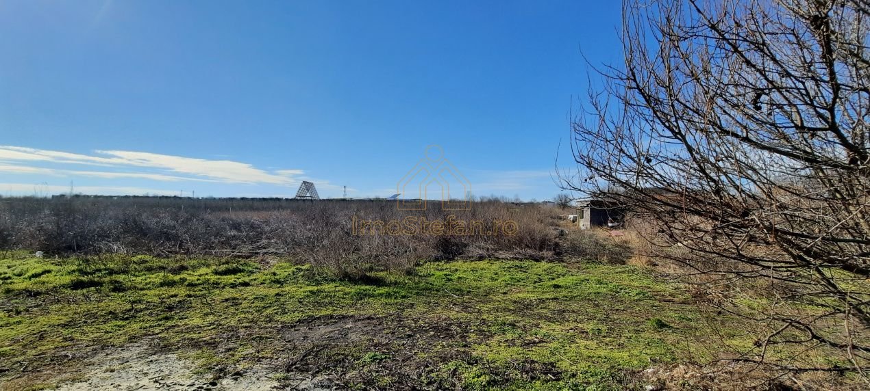 428aea8024124991915865921fdb3f10