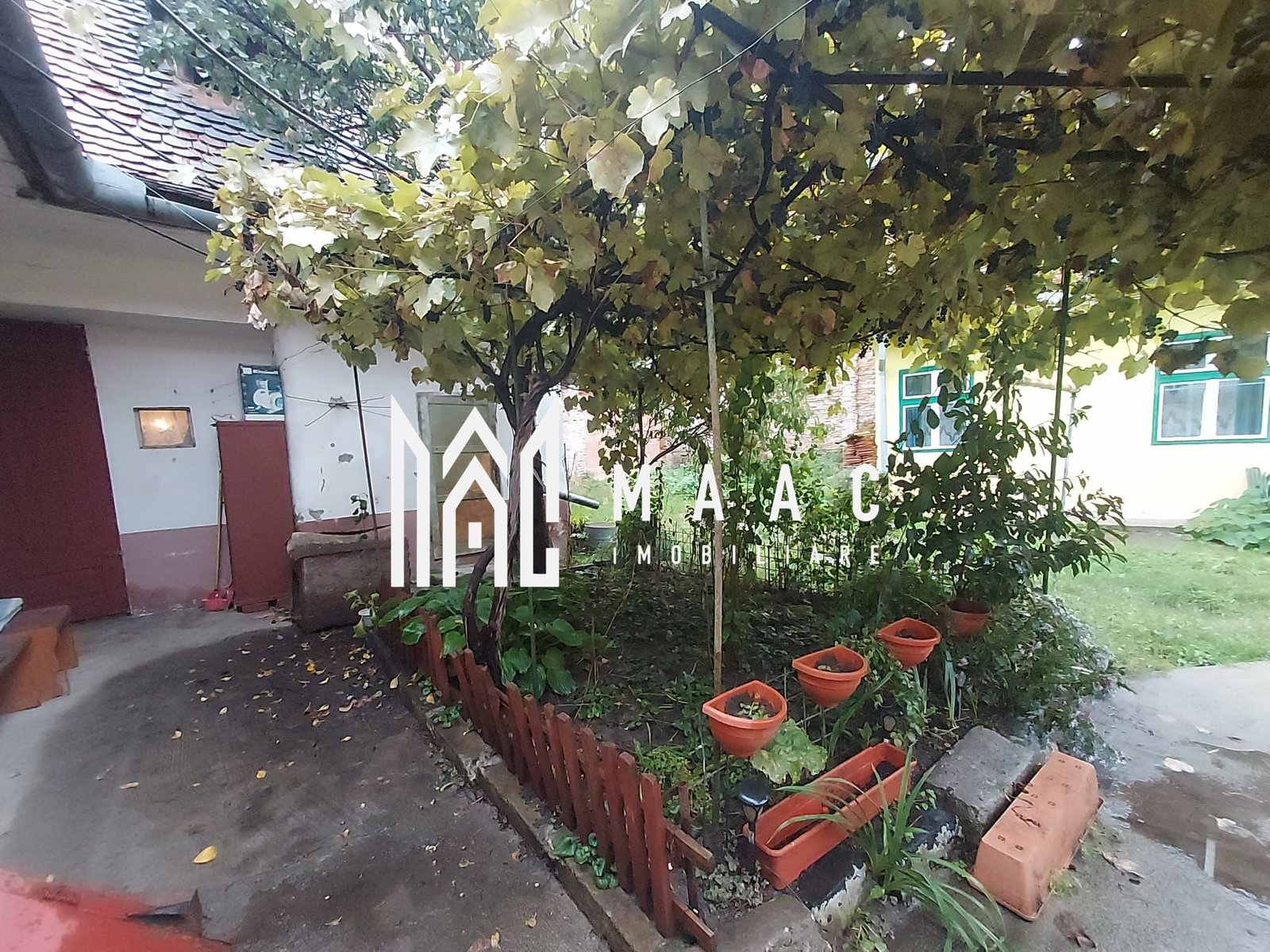 62d5dc7b54eb47cbb650f21d8b68b6c3