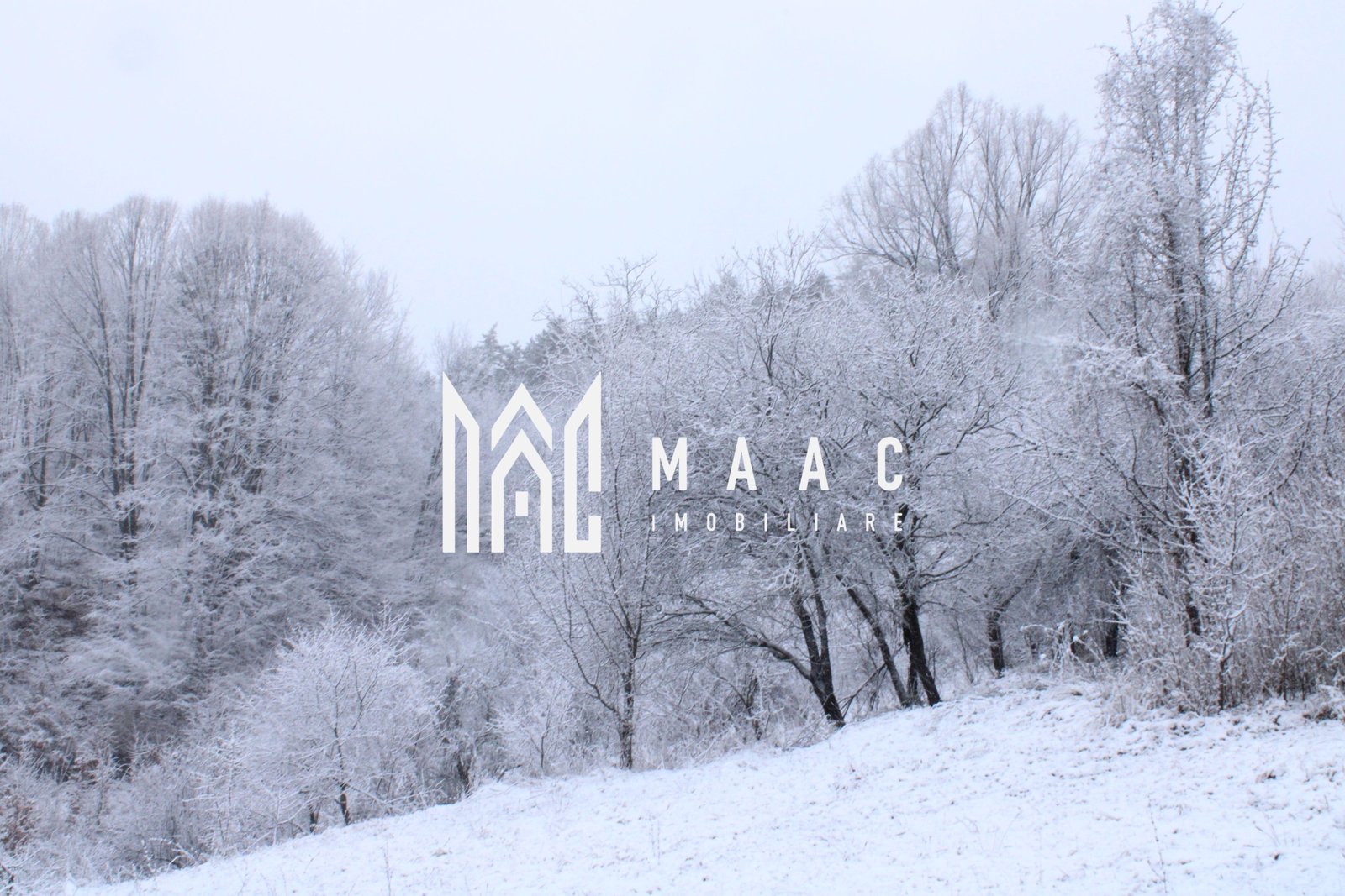 7450fabb778b4c57b7a58974c8d09839