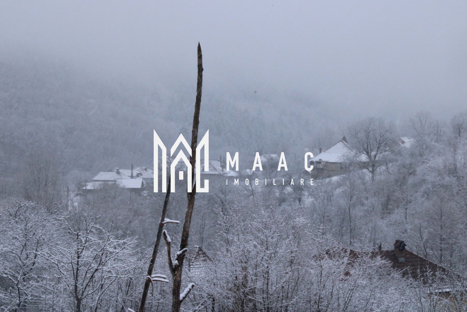 cd7359abffbe49df9a43da4831d7631a