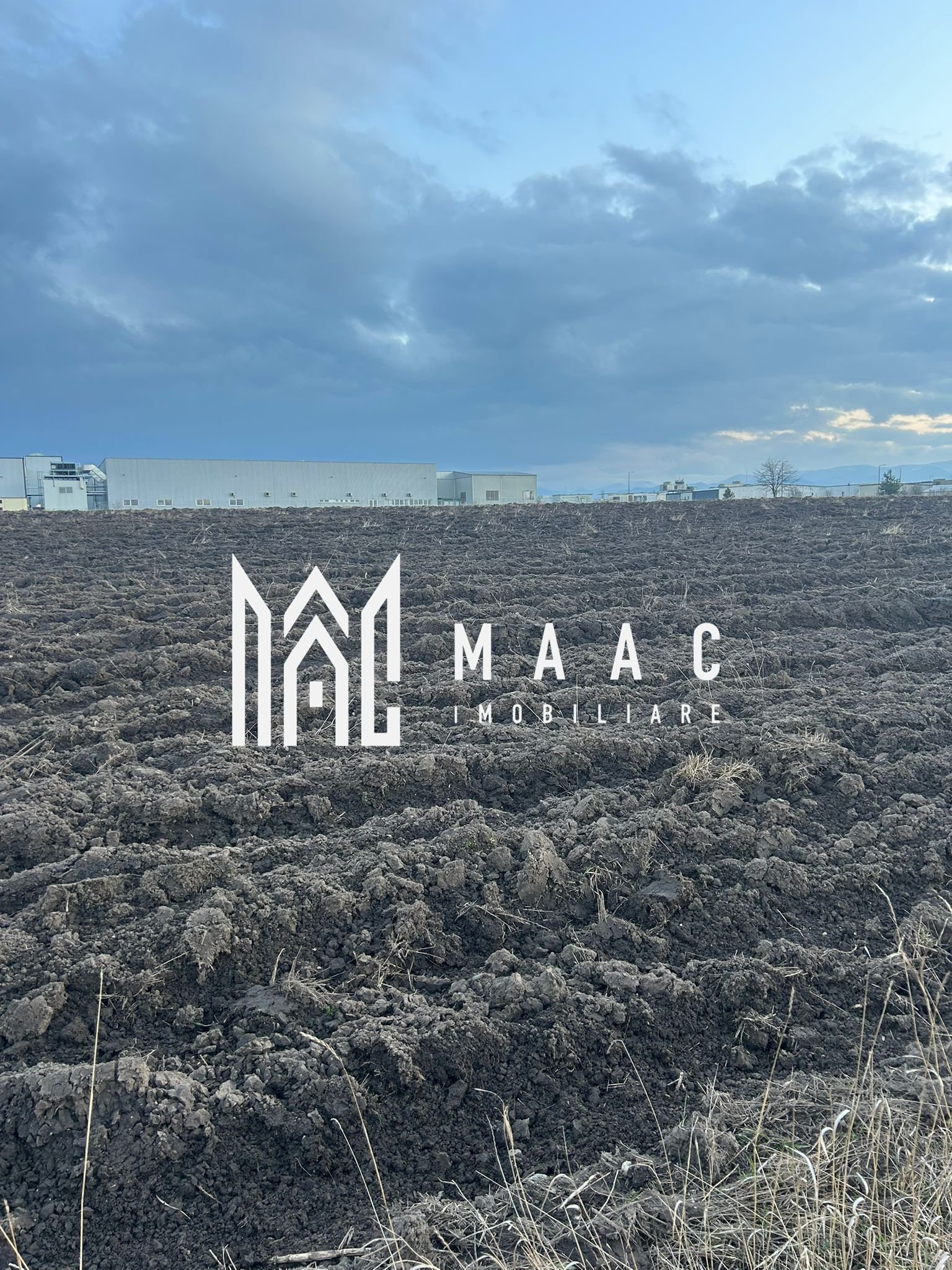 e29141bf38754c16abb056023a244d48