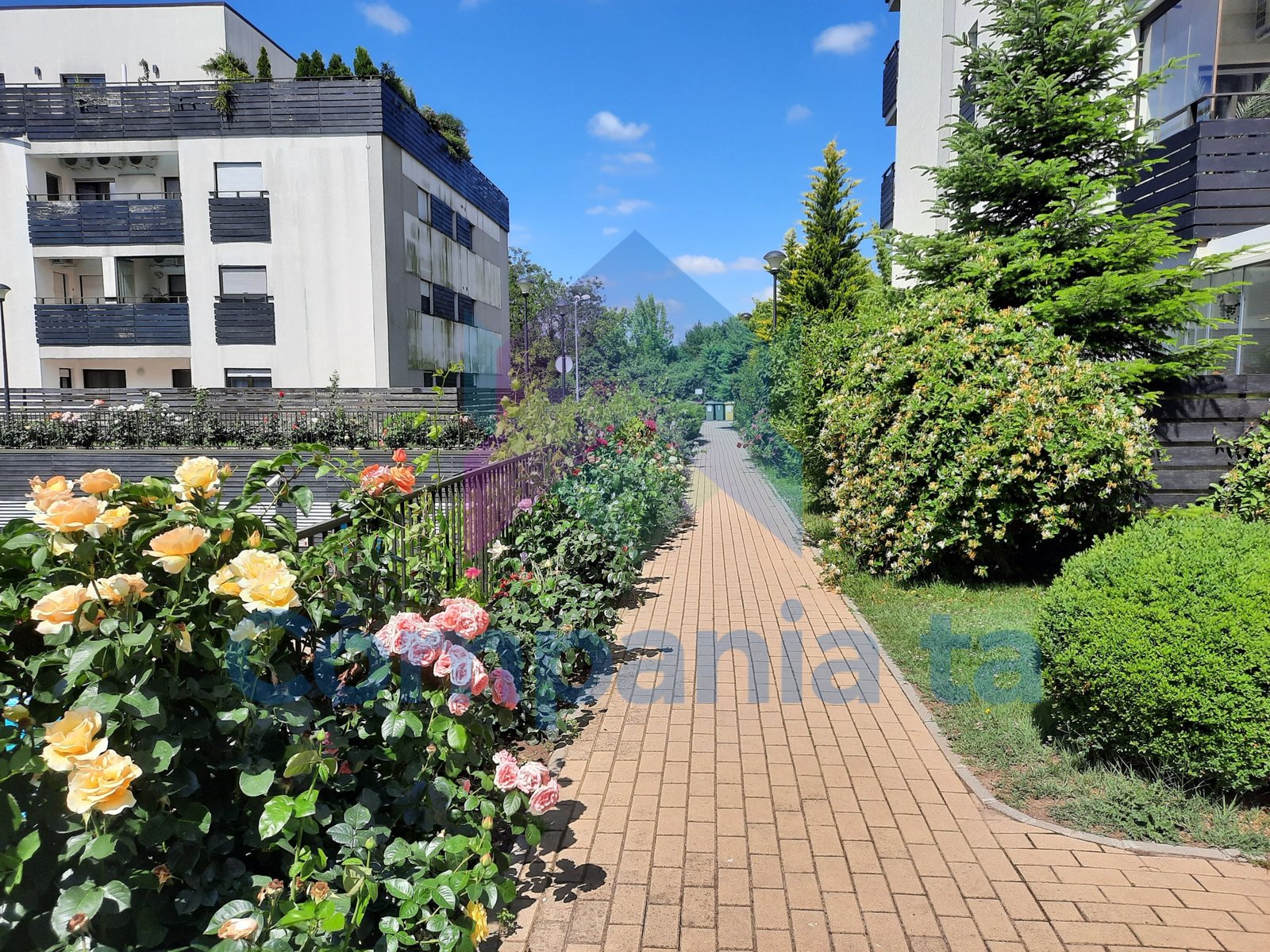 e3234d6217fc4ee09e2bab50ec7fcdd9