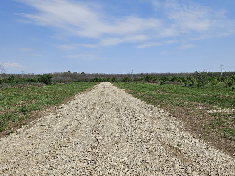 TEREN DRAGOMIRESTI 2