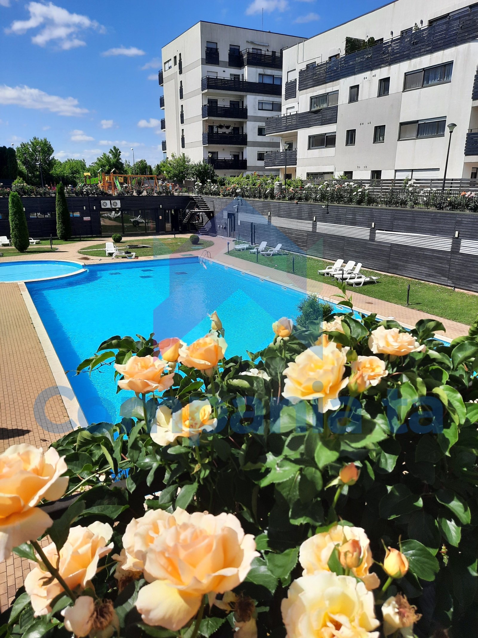 13b7ce8eb85847a0b454408601101960-36