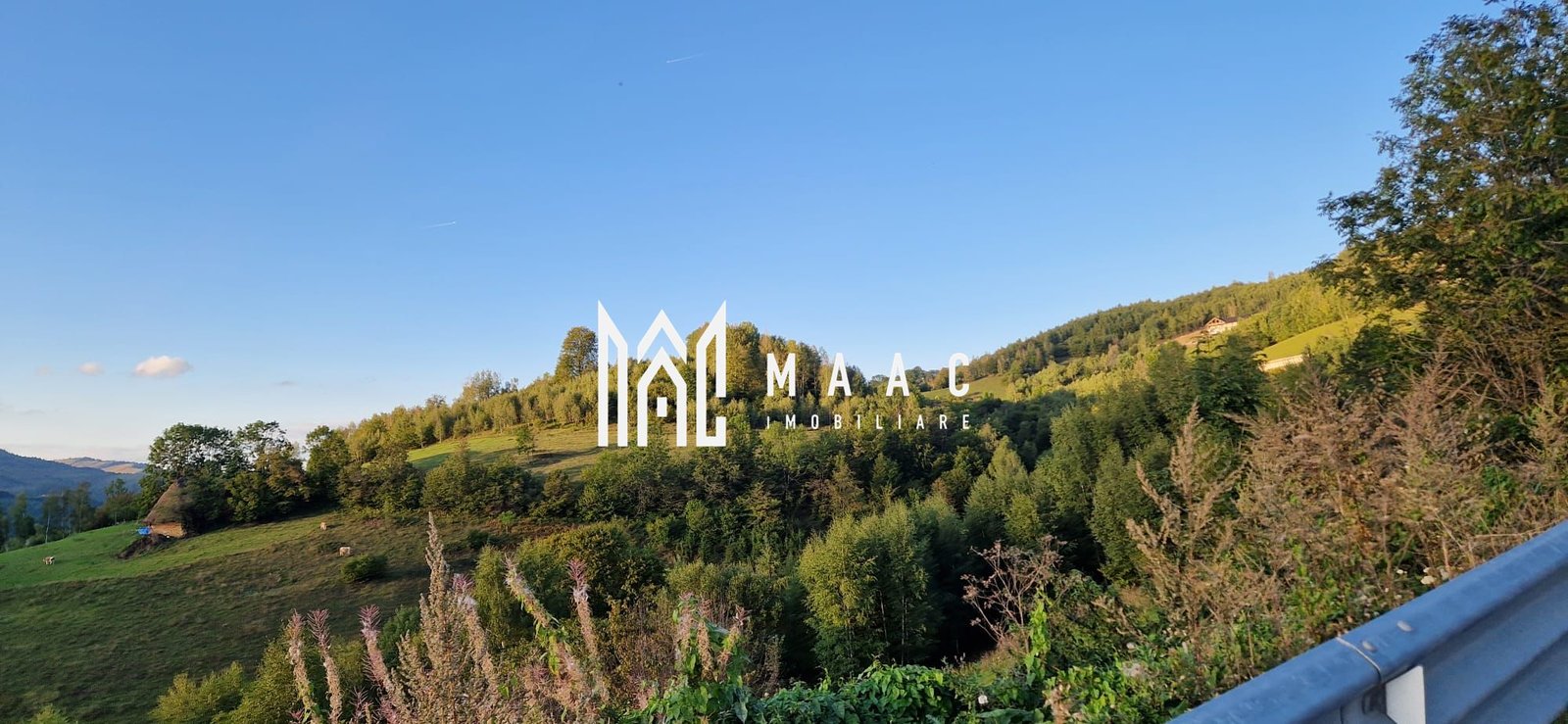 1e49d072300b47e39dcee1b535a4096d