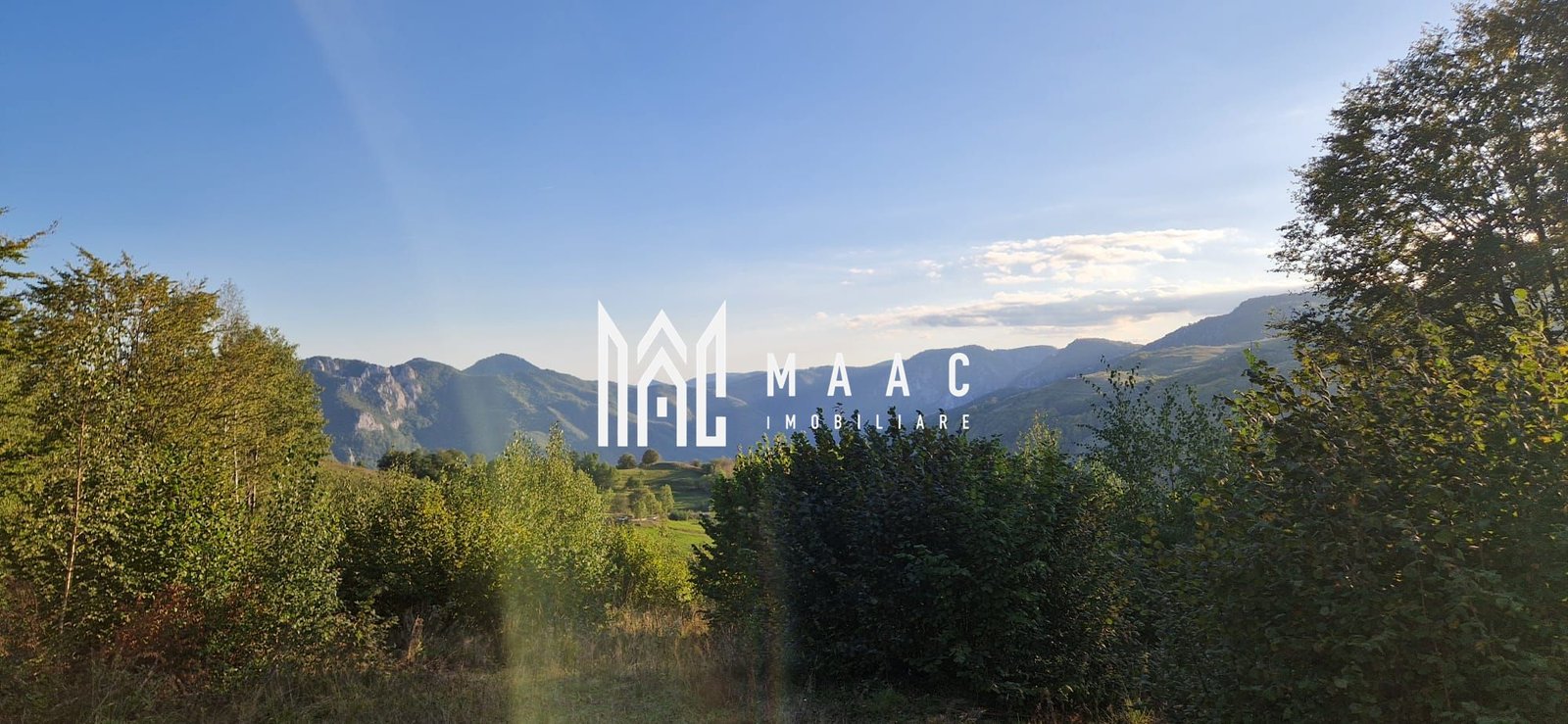 217576057845484ab16c18a74ca2312e