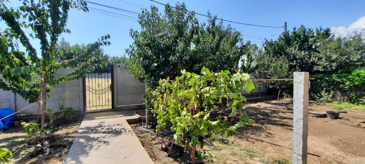 5432e8bab8034403a655f4c37400ea07-1