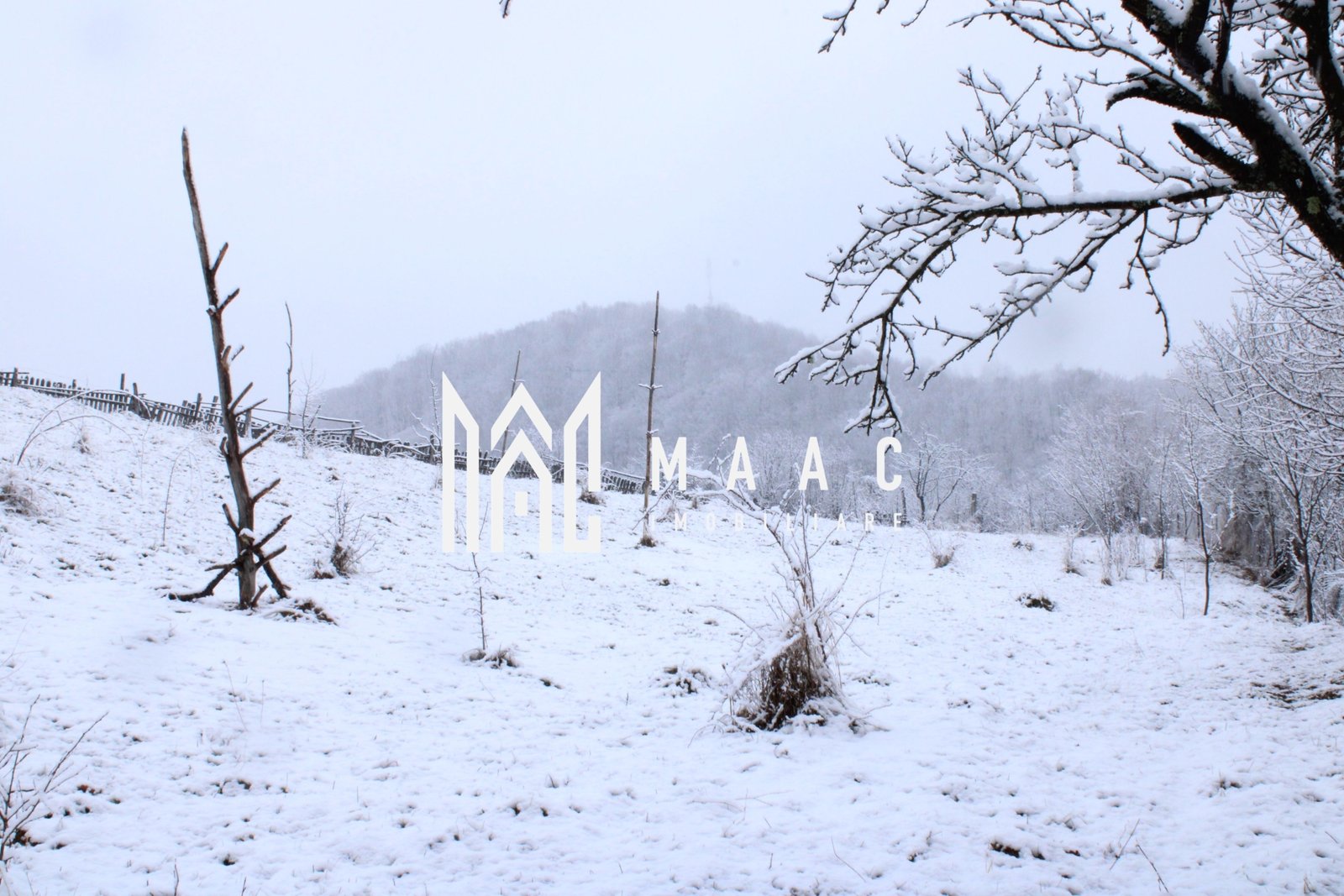 9124a95fc8e74b5cbffffe5c592639a3