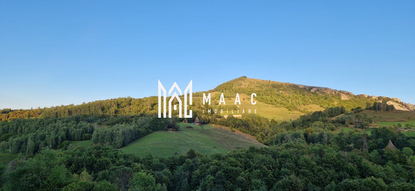 969d77b3a7cf445c8c45d31b54446c56