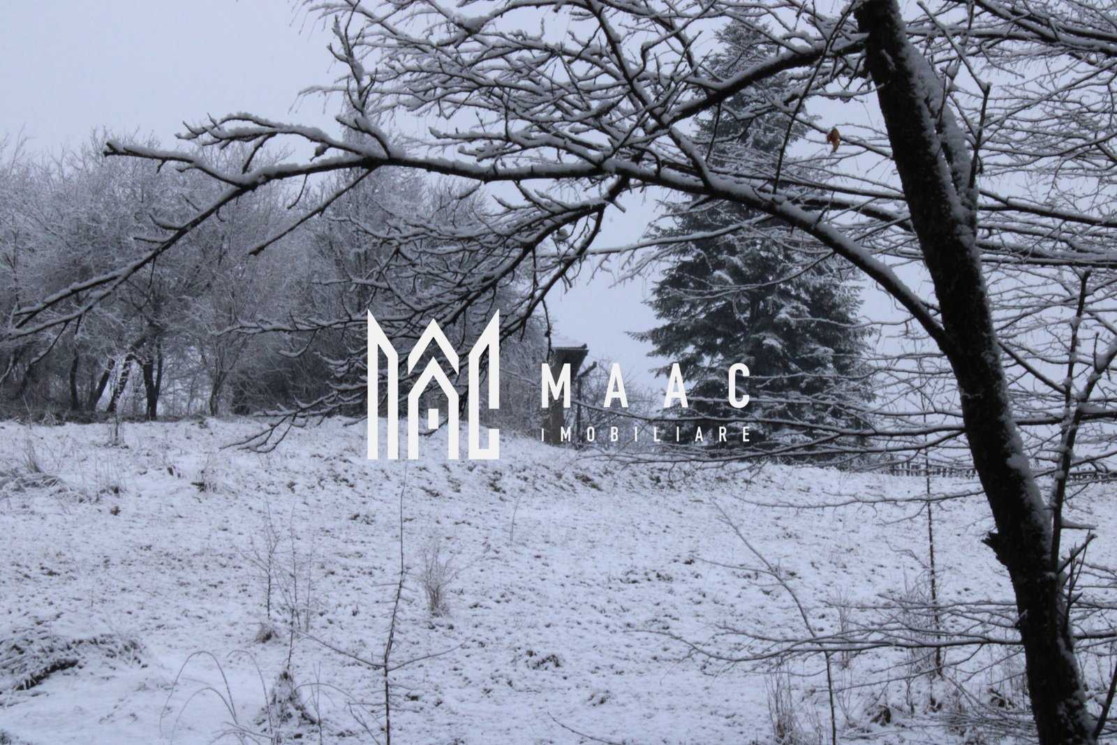 b3ec5d631c604e6085e24ee734ae1ac7