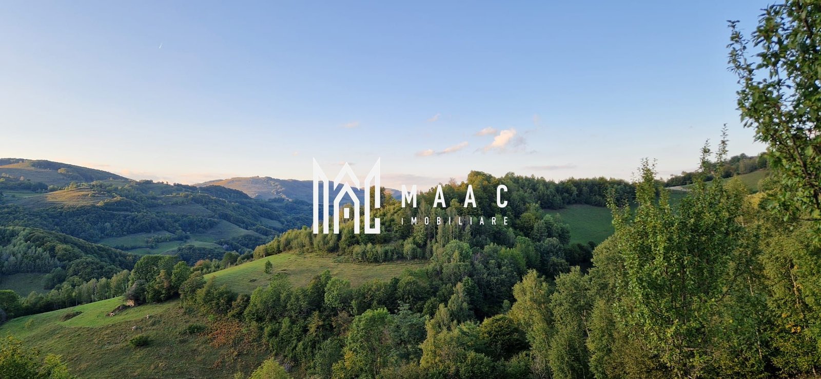 eb88f01c98a645ea9e72d11335241991