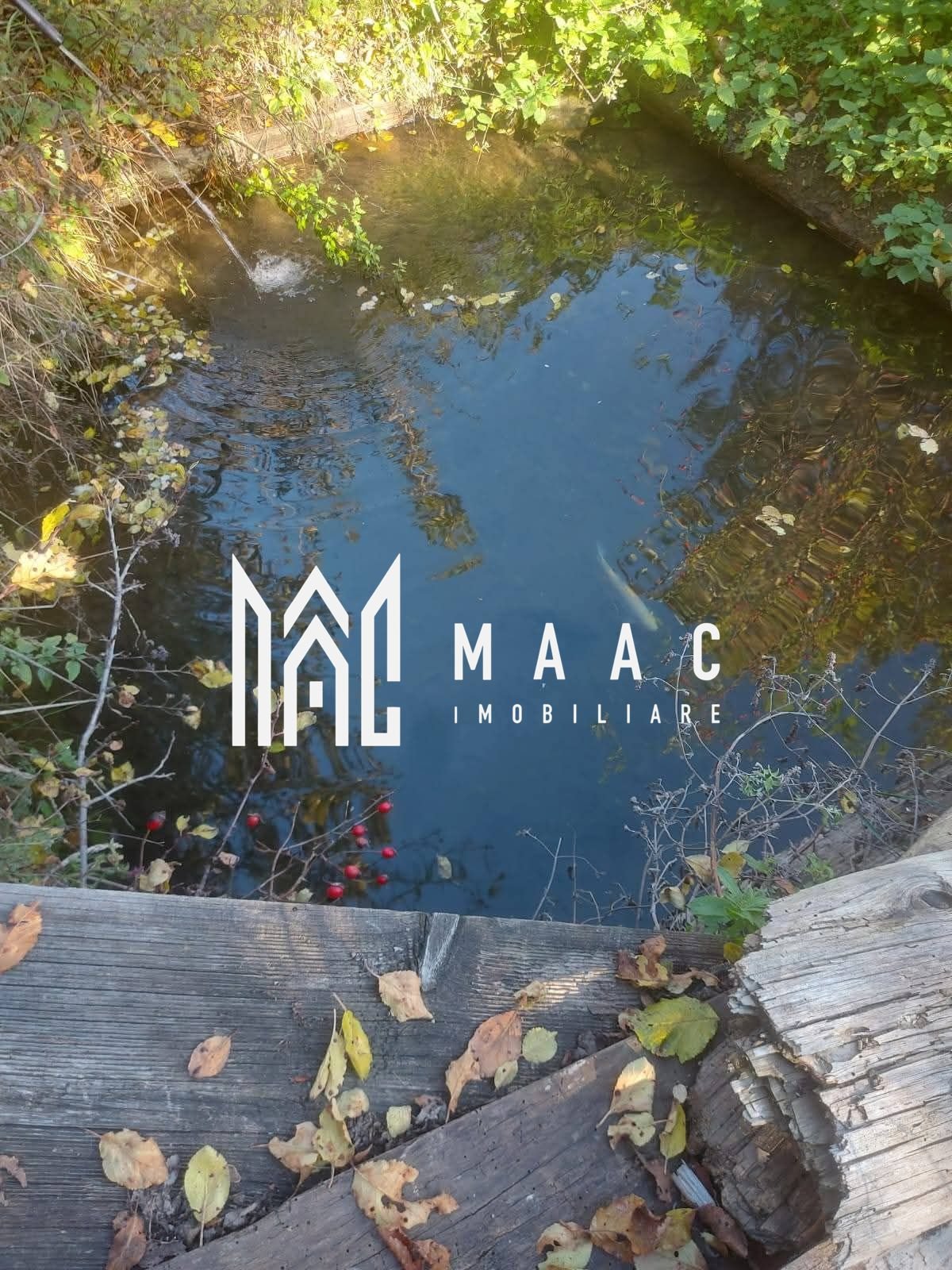 05bfc5067a2042e79576cfb614672167