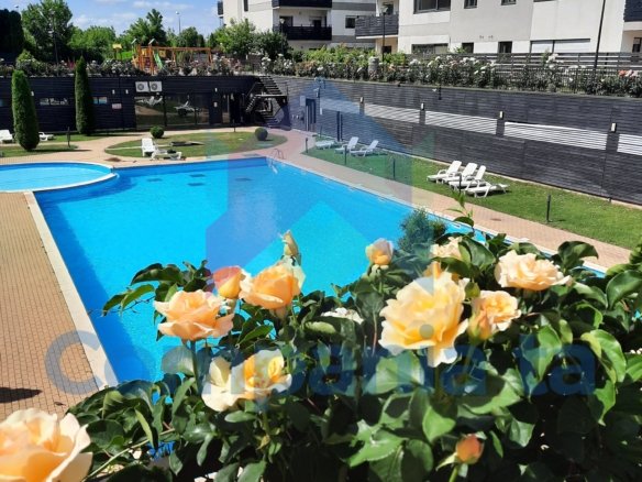 13b7ce8eb85847a0b454408601101960 scaled