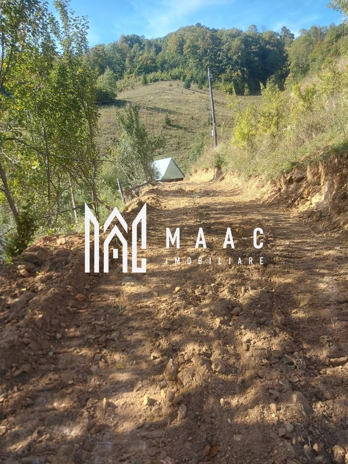 2139d8d83f0245e69c18553605635d51