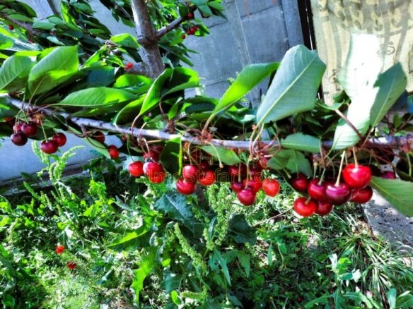 22ab054c9a904cc9a428d2faabbb6065