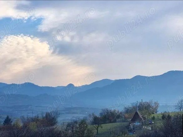 24e9bf39460441a19eac65affcdb25c0