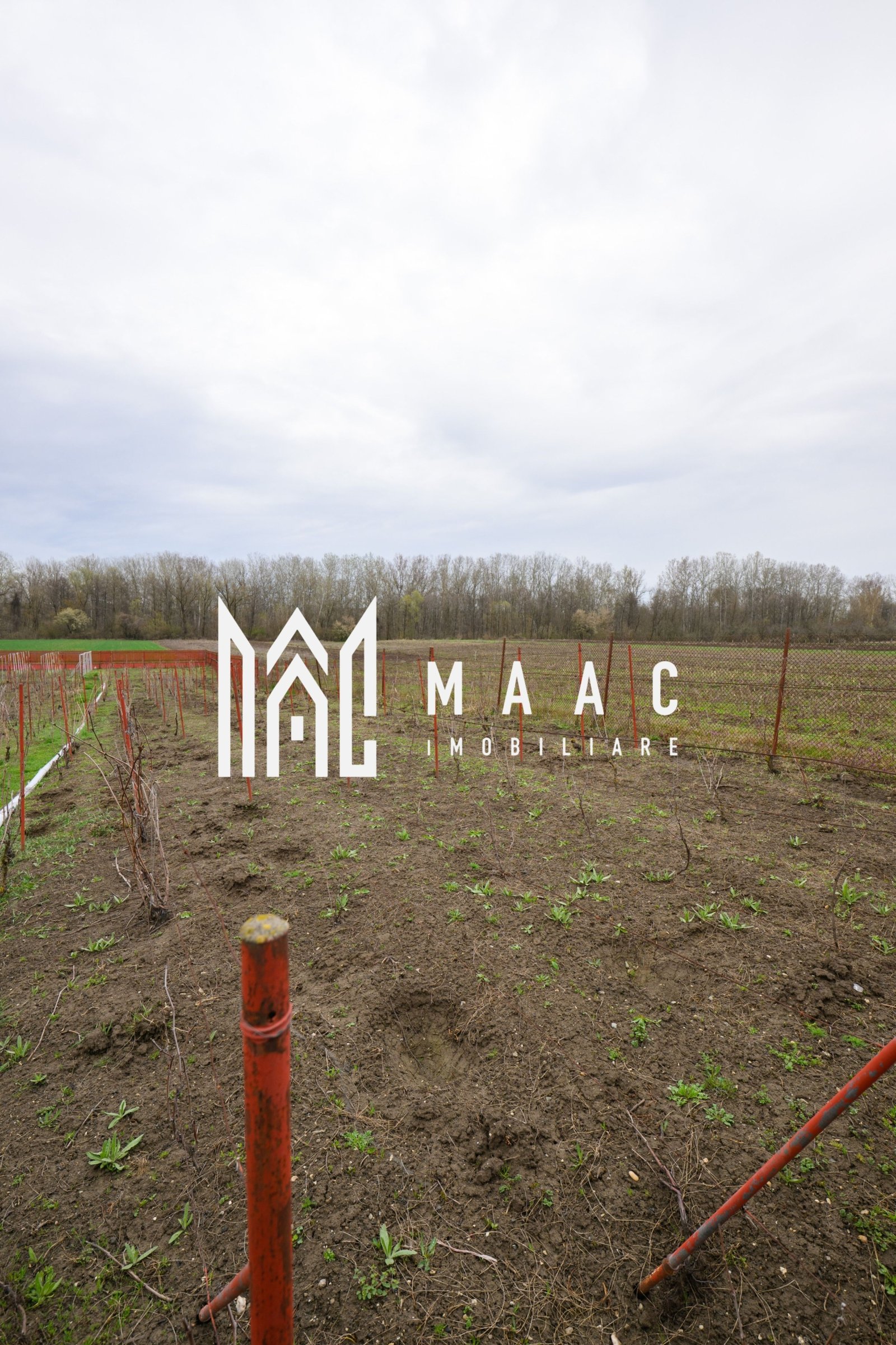 28b5db5515224d9297558ecb1fac40d4