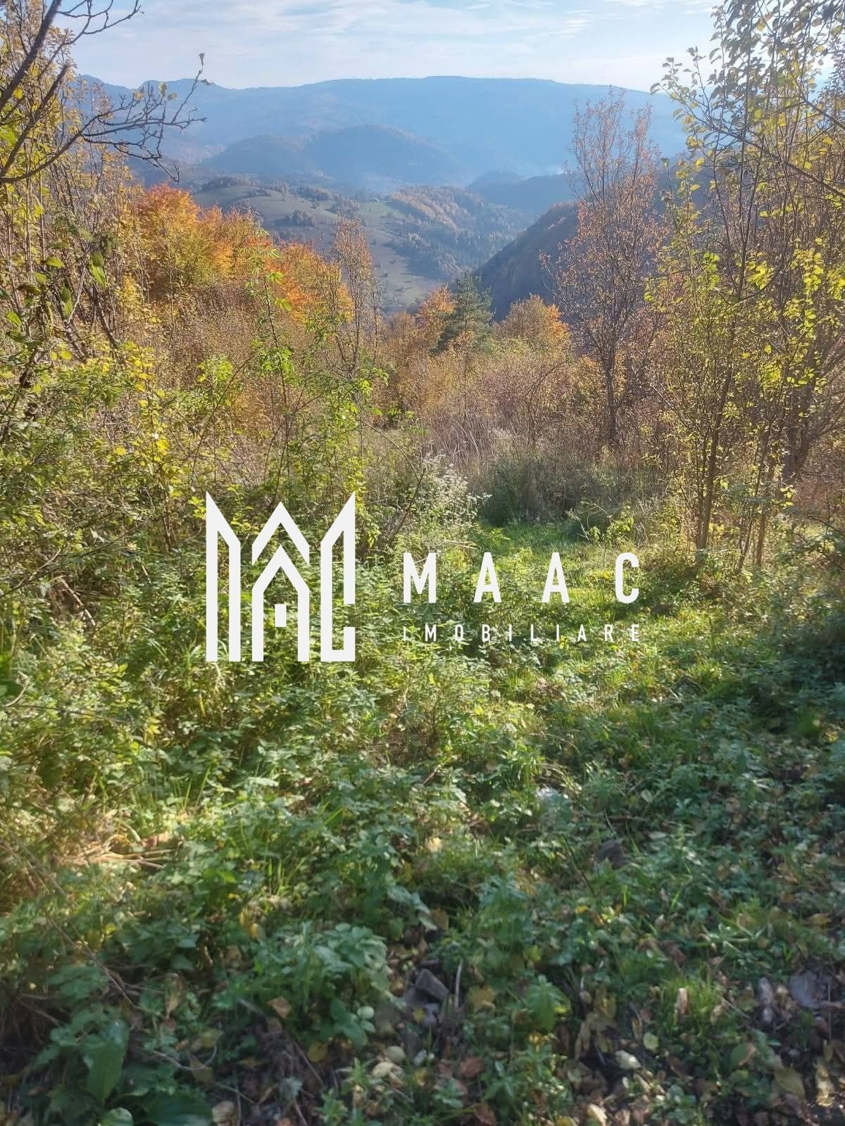 2be928a7bb1a45209d1ad96d50ad73d3