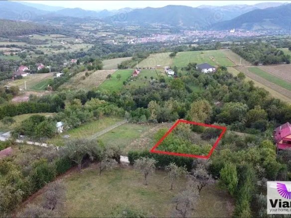 2c5a2c6695274540963f1e904ccac413