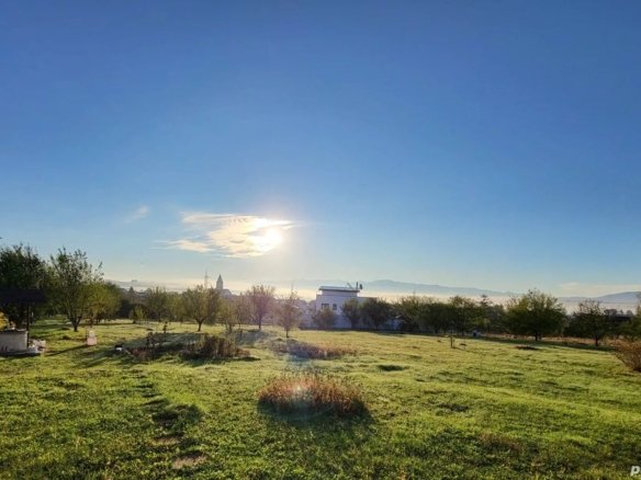 2da5ae011081433f8191e6e0c820fb7c