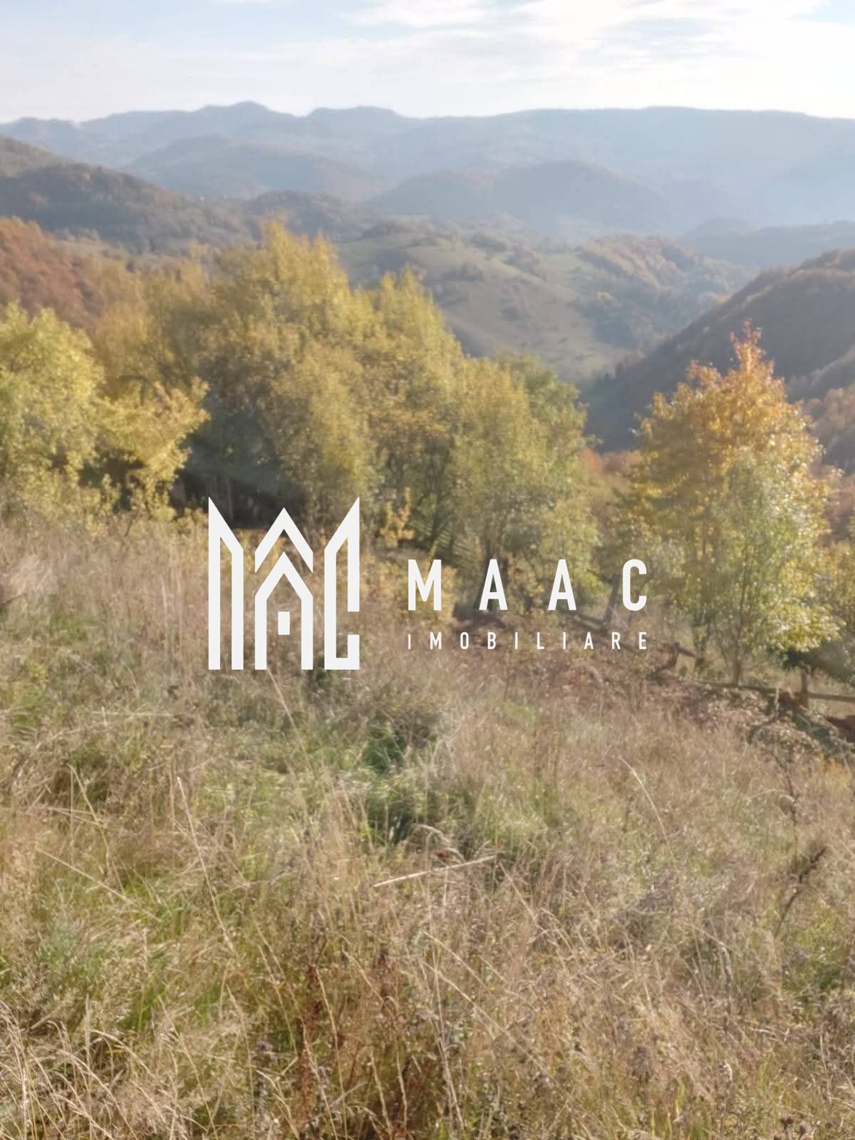 30ff3c7b1b6e4a4b8e7168e5f61e0844