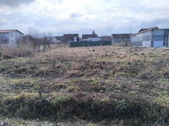 3105c398dab743738b45cafe00868e5b