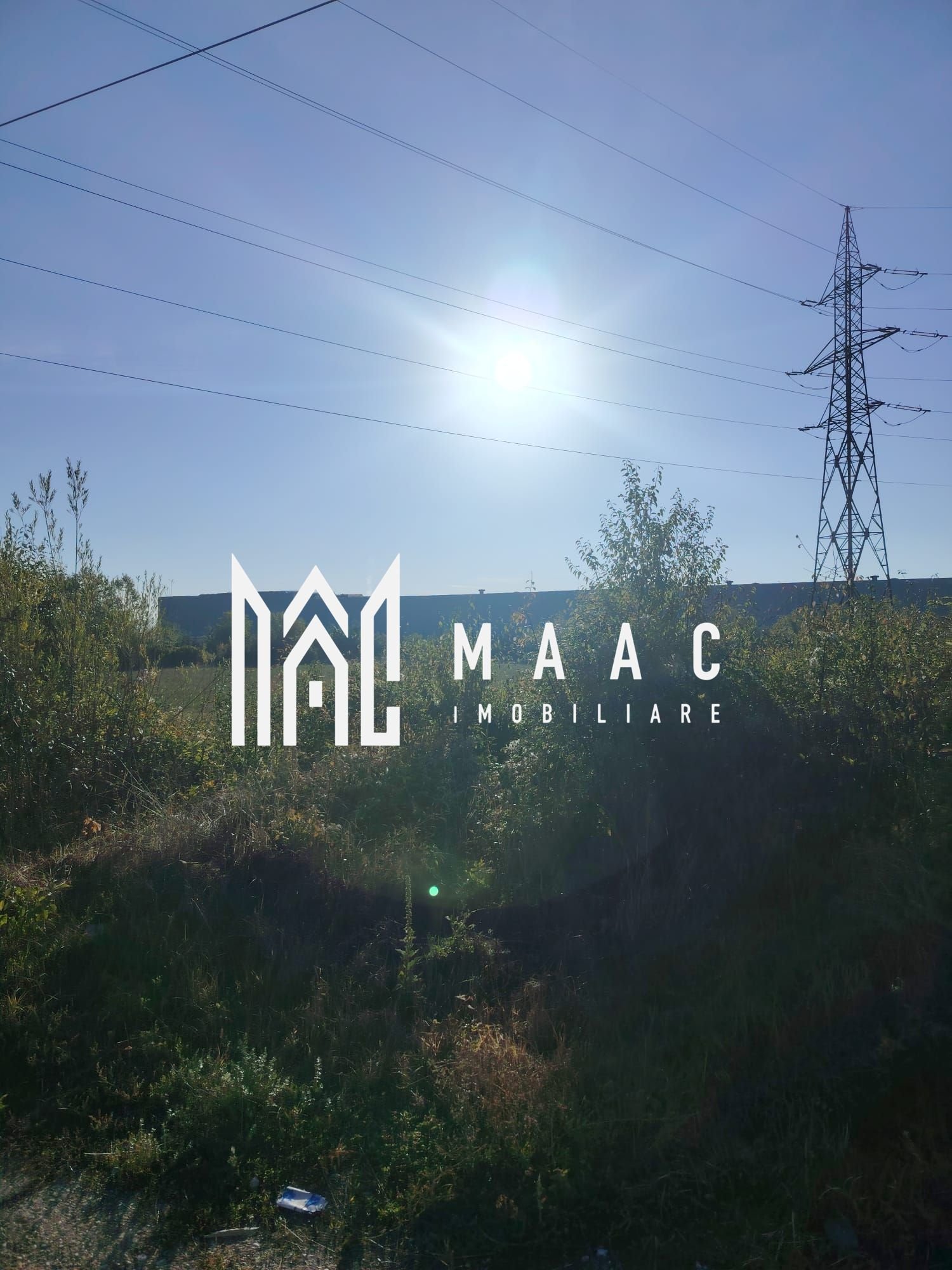 39f59f3864cc4cd6805b885b4c0f8f19