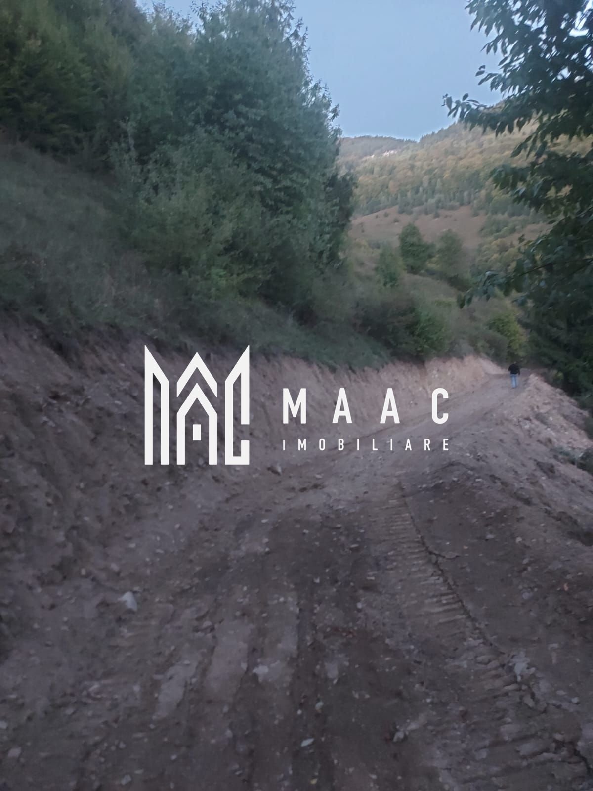 3f6b8e66f1e648b398fbab8d8dce70e7