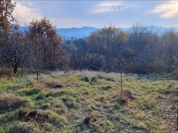 5b049487bd4c4906a5ebbb5122e7bbe7