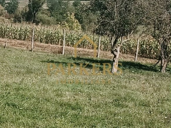 7946233aa2a14fd0837347b5f4ed3e91