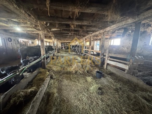 7bfff54391004a1686b6f2c5377b06b1