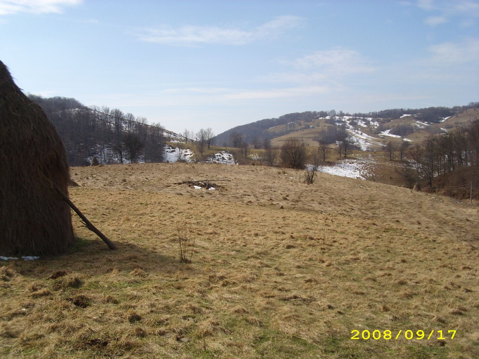 85e395202b0949efac58633d7f8263f5