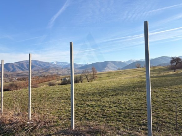 9044264f504e4825b56669fff43d4542 scaled