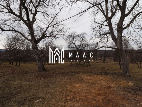 953cc0b873694c438e529ab385f3ab83 scaled