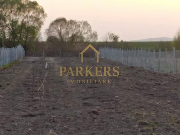 a7099744fd294abea21d682988629b02