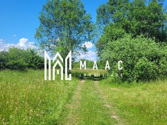 Teren de vanzare I izvor apă minerală  Dangești I 2 Hectare