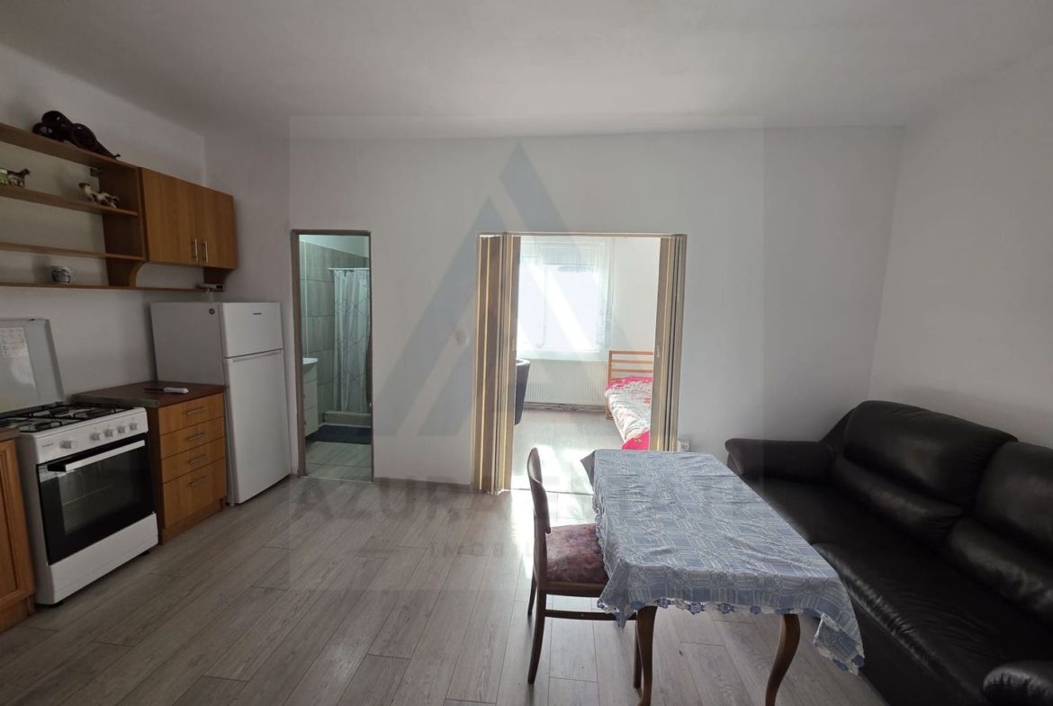 Studio la curte utilat complet cu terasa zona Lazaret - Imagine principala