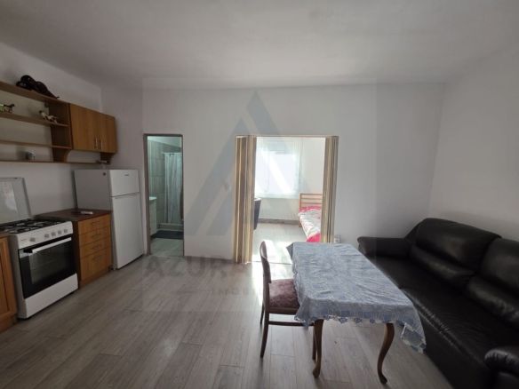 Studio la curte utilat complet cu terasa  zona Lazaret