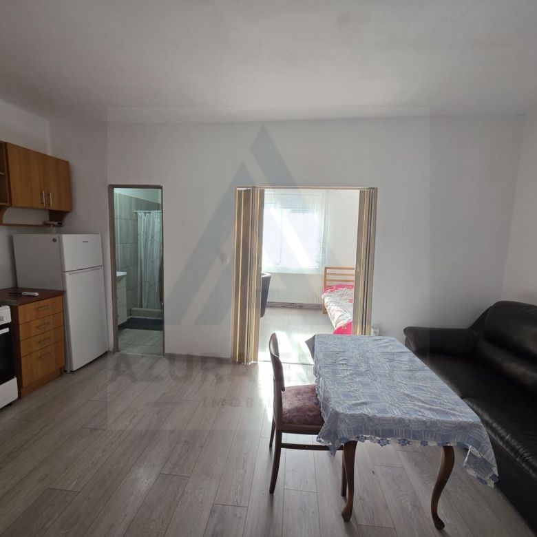 Studio la curte utilat complet cu terasa  zona Lazaret - Imagine principala