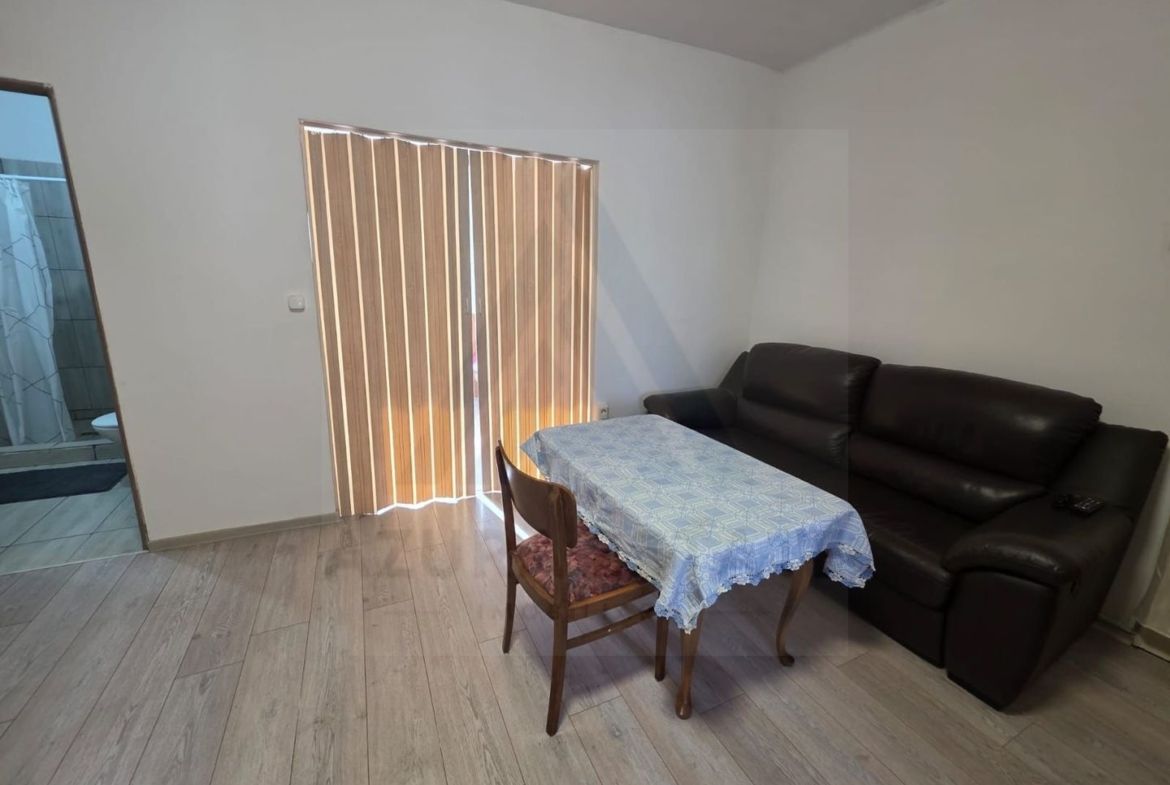 Studio la curte utilat complet cu terasa  zona Lazaret - foto 8