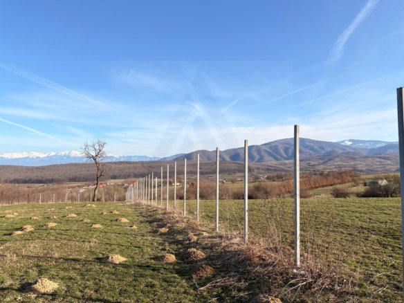 ccfbb8afb5f64c7f83f09045baab4d6b scaled