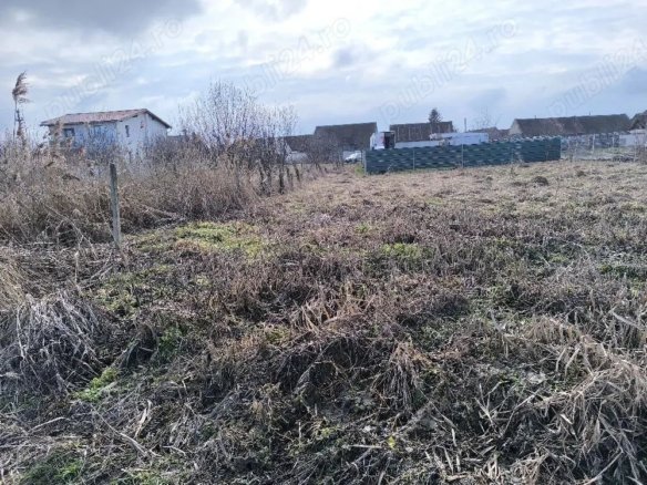 dbcf50d69f344a558a1ac07c1c70b490