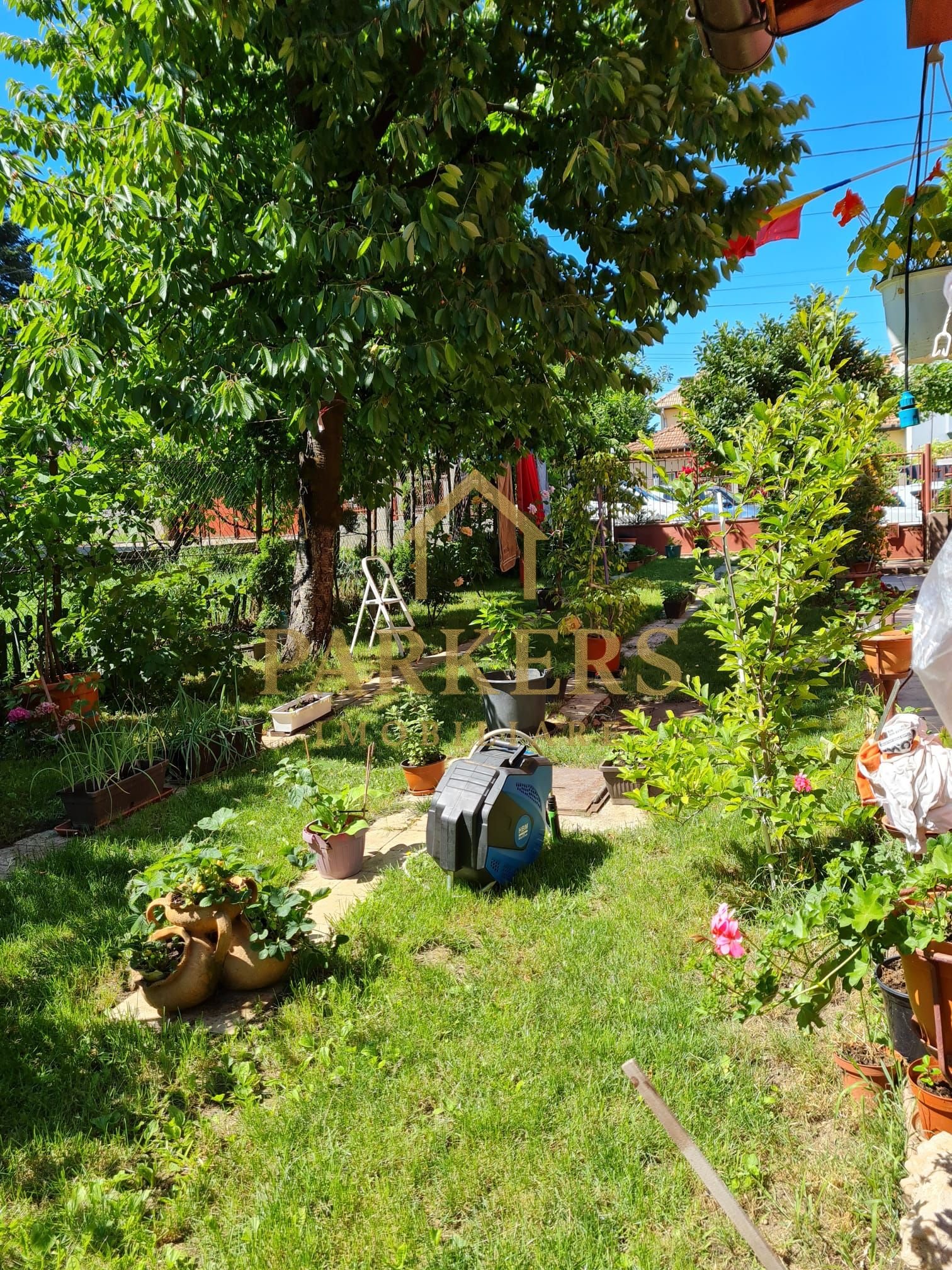 df51c0d5dd504f96ac83b266c20add00