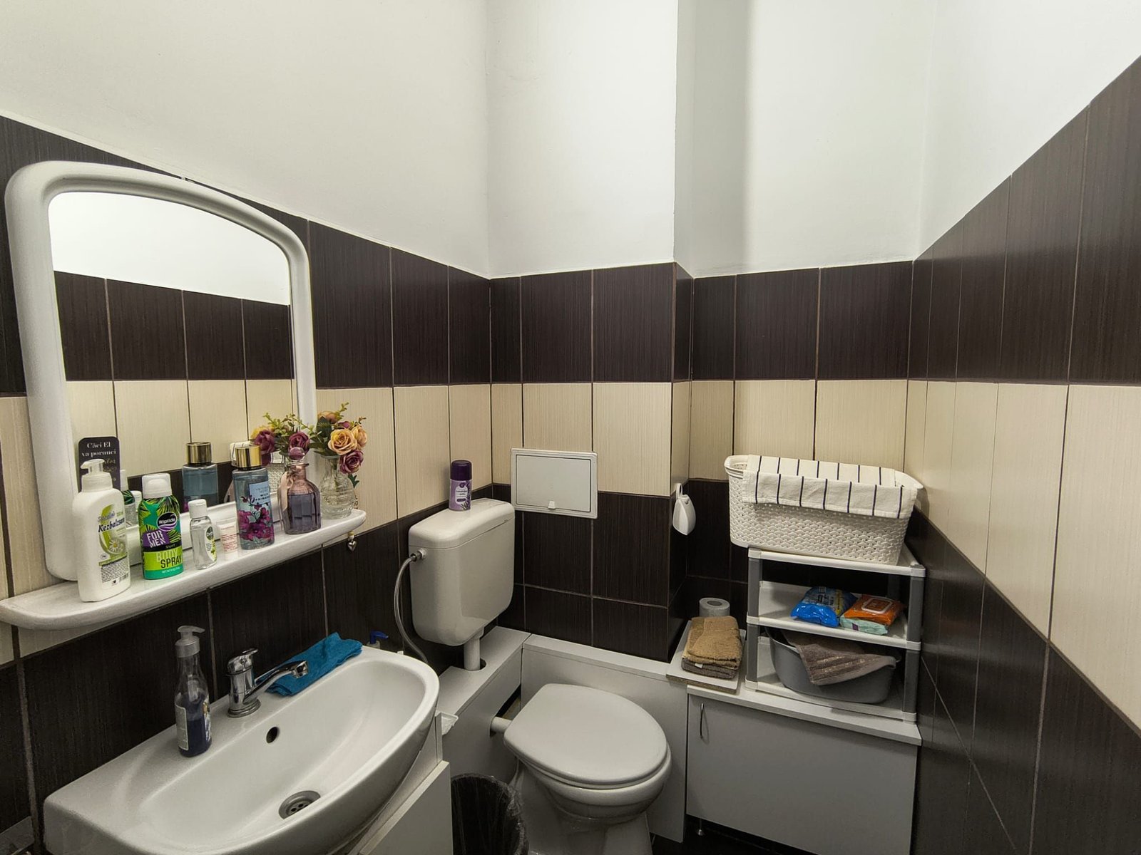 e57172c3cbf54edb8826f45c6a0c7742