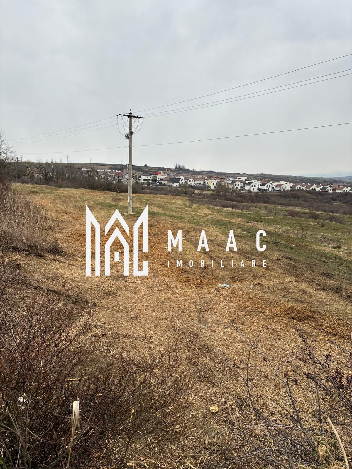 ed0df5ec8b344d40b9522e136bb1f72f