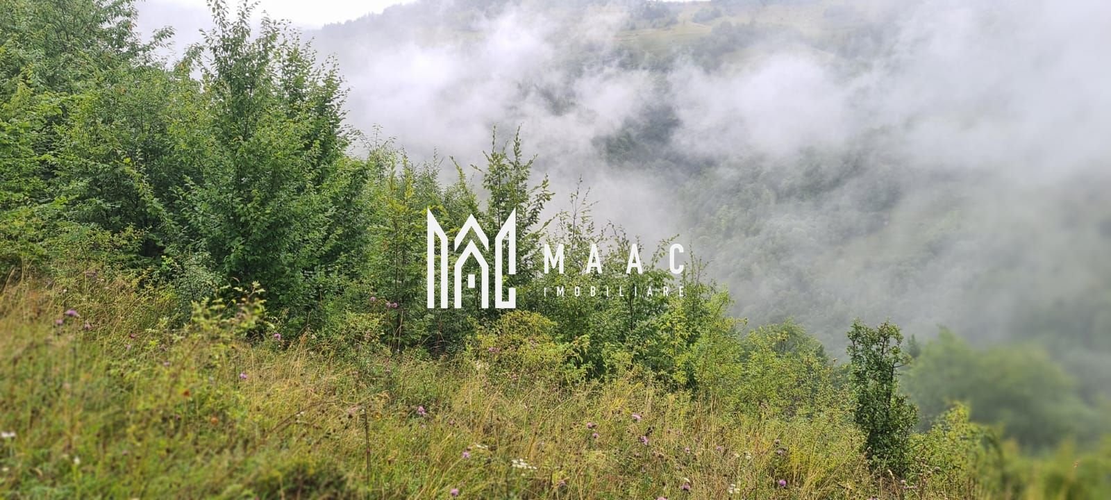 ee6e35f59b5244409a134e2ae20b67fa