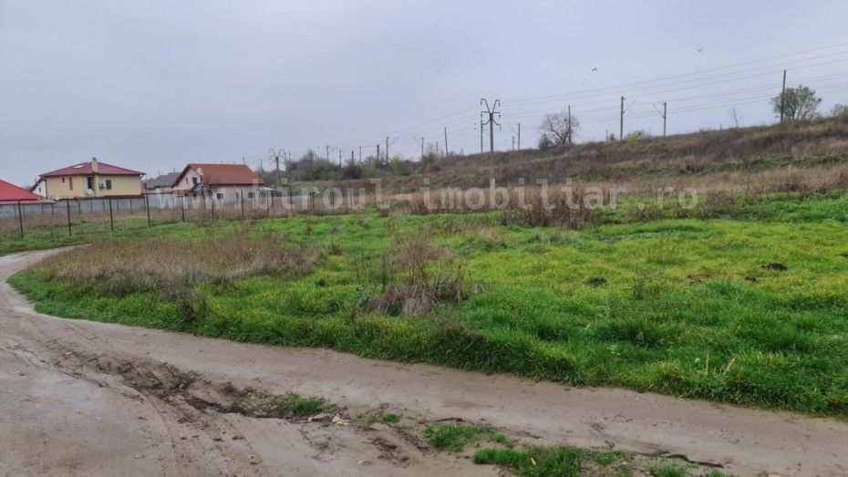 Teren Intravilan 5.000 mp – Perfect pentru Parc Fotovoltaic, Hale sau Lotizare
