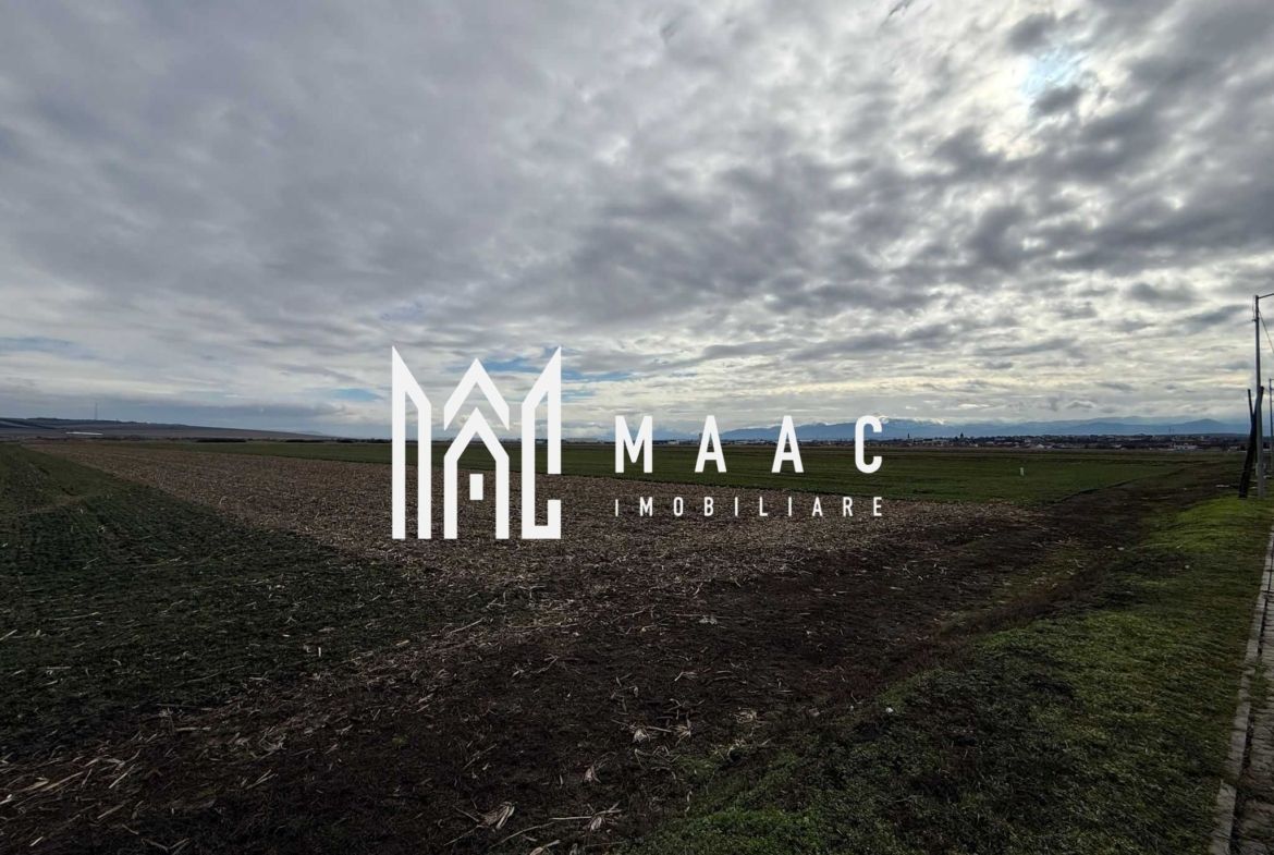 Teren intravilan | 9600 mp | Șură Mică | Utilități | Drum Asfaltat